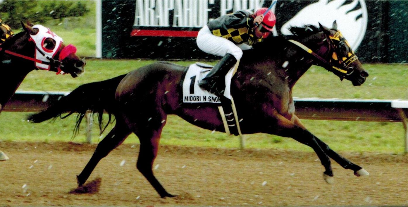 Rocky Mountain Quarter Horse Association Home